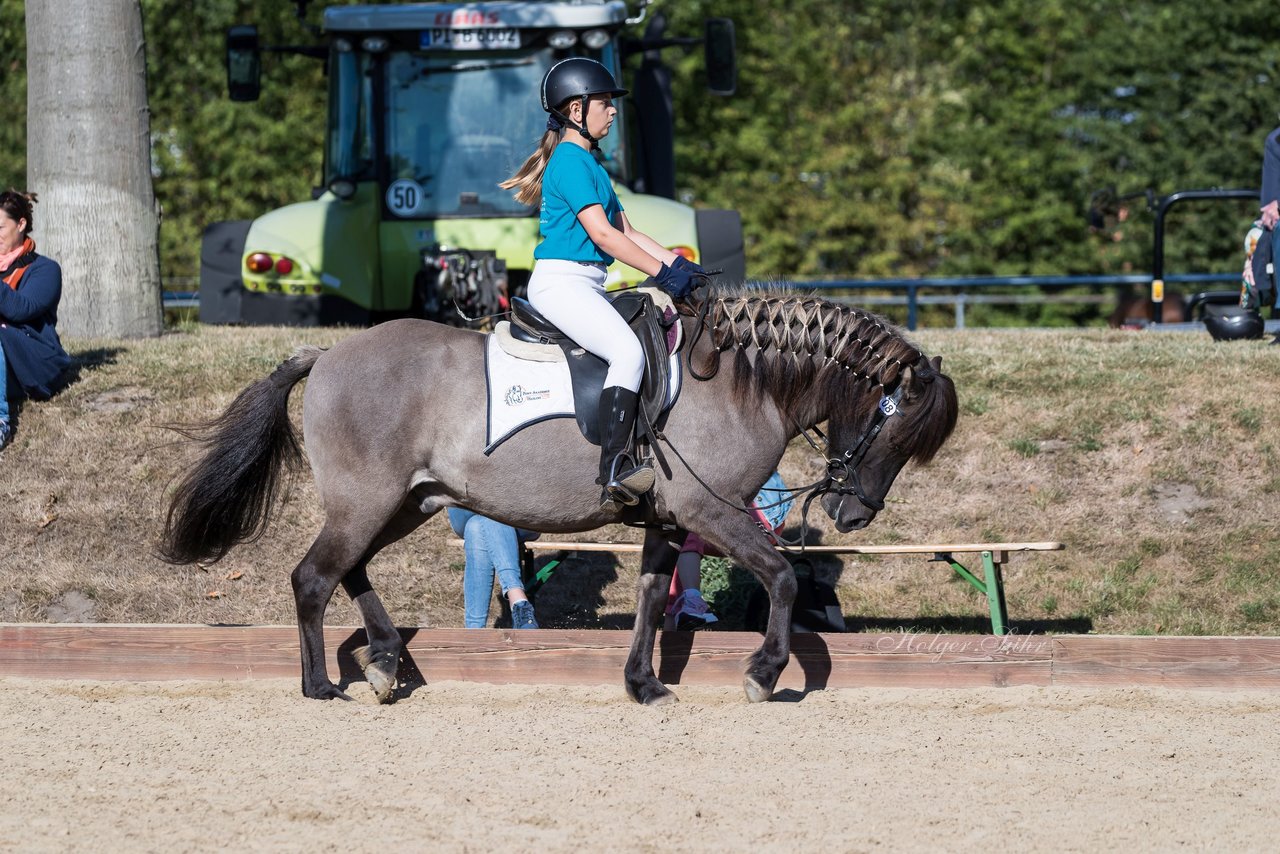 Bild 41 - Pony Akademie Turnier